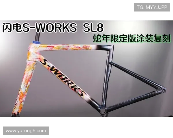 自行车车架涂装背后的含义